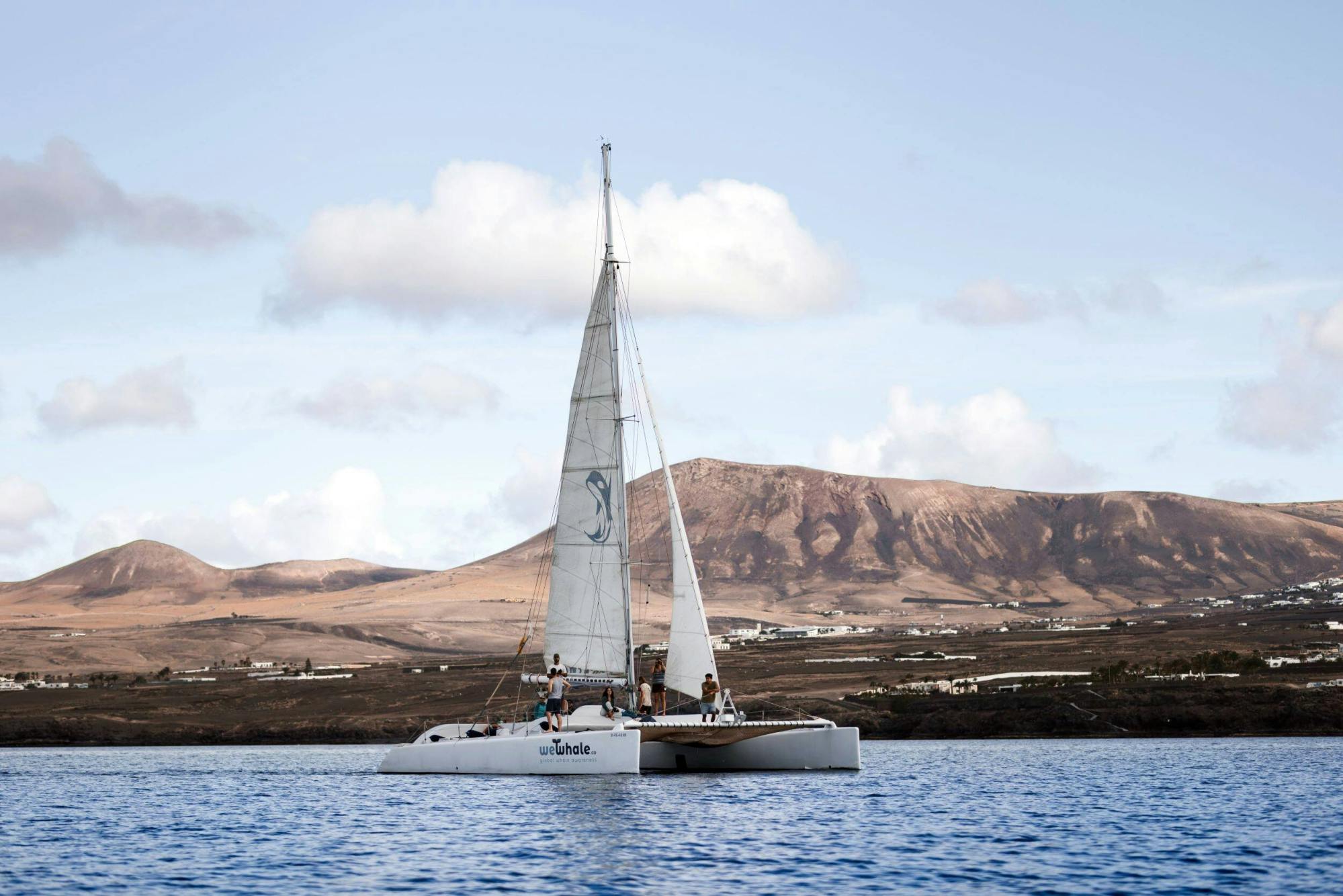 Lanzarote Dolphin and Whale Watching Four-hour Boat Trip