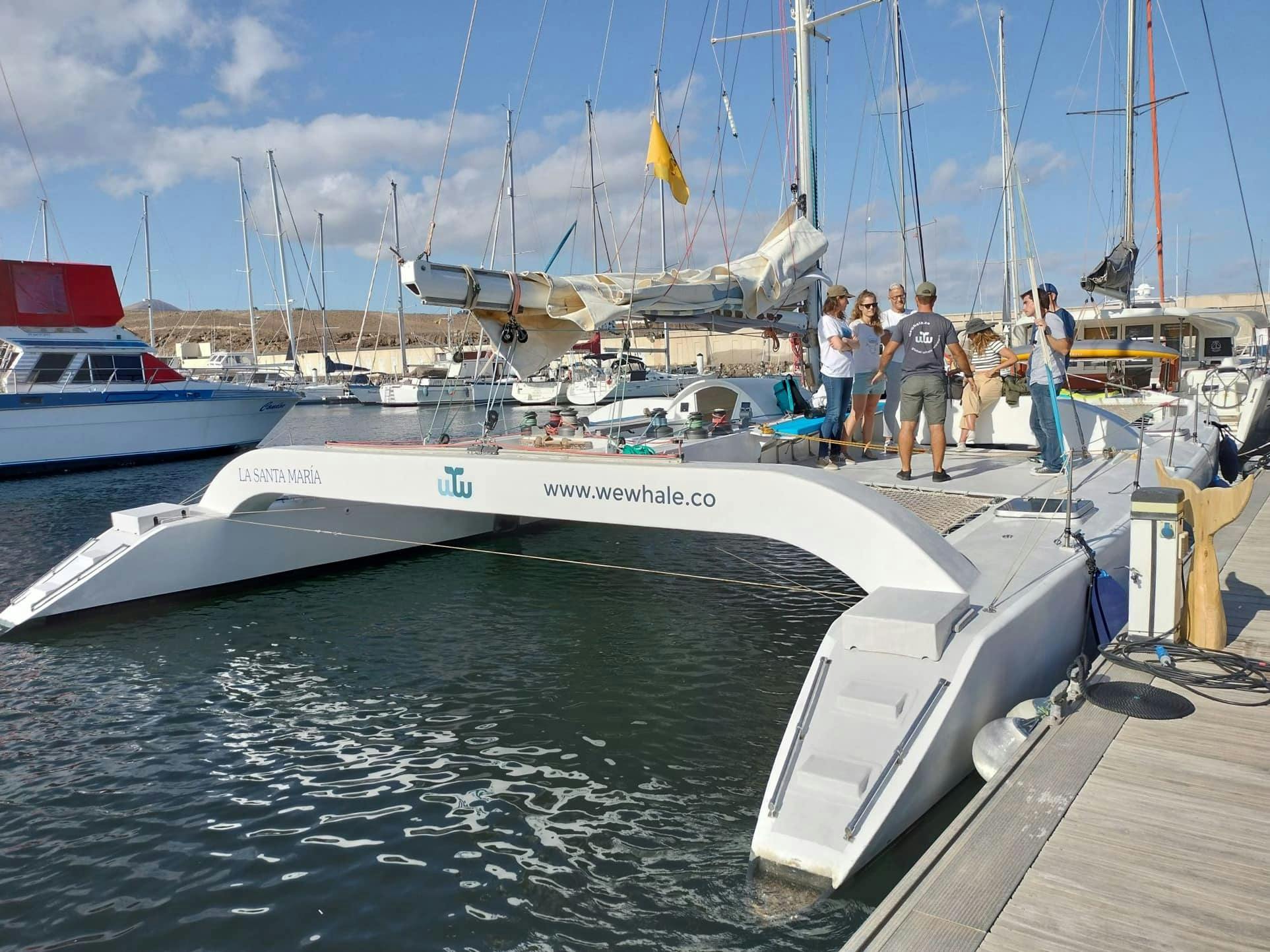 Lanzarote Private Sunset Dolphin Spotting Catamaran Cruise