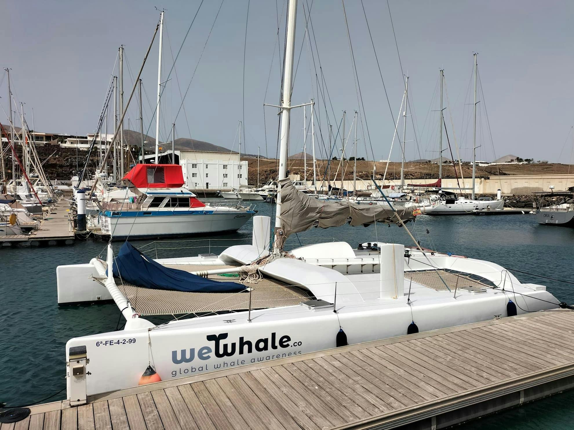 Lanzarote Private Sunset Dolphin Spotting Catamaran Cruise