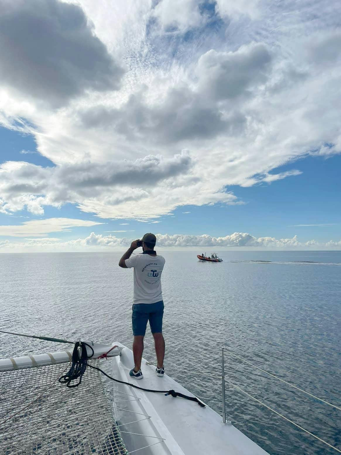 Lanzarote Dolphin and Whale Watching Four-hour Boat Trip