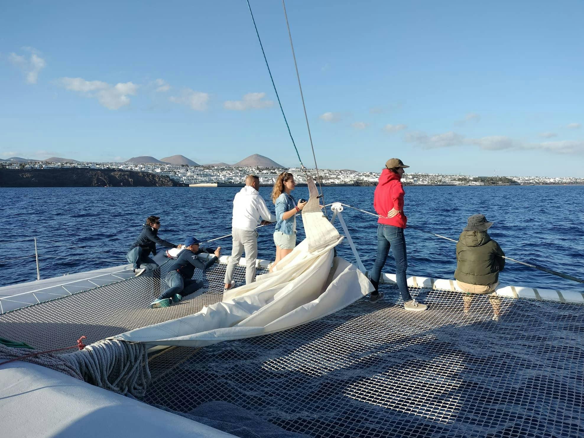 Private Dolphin and Whale Watching Catamaran Cruise with Snorkelling