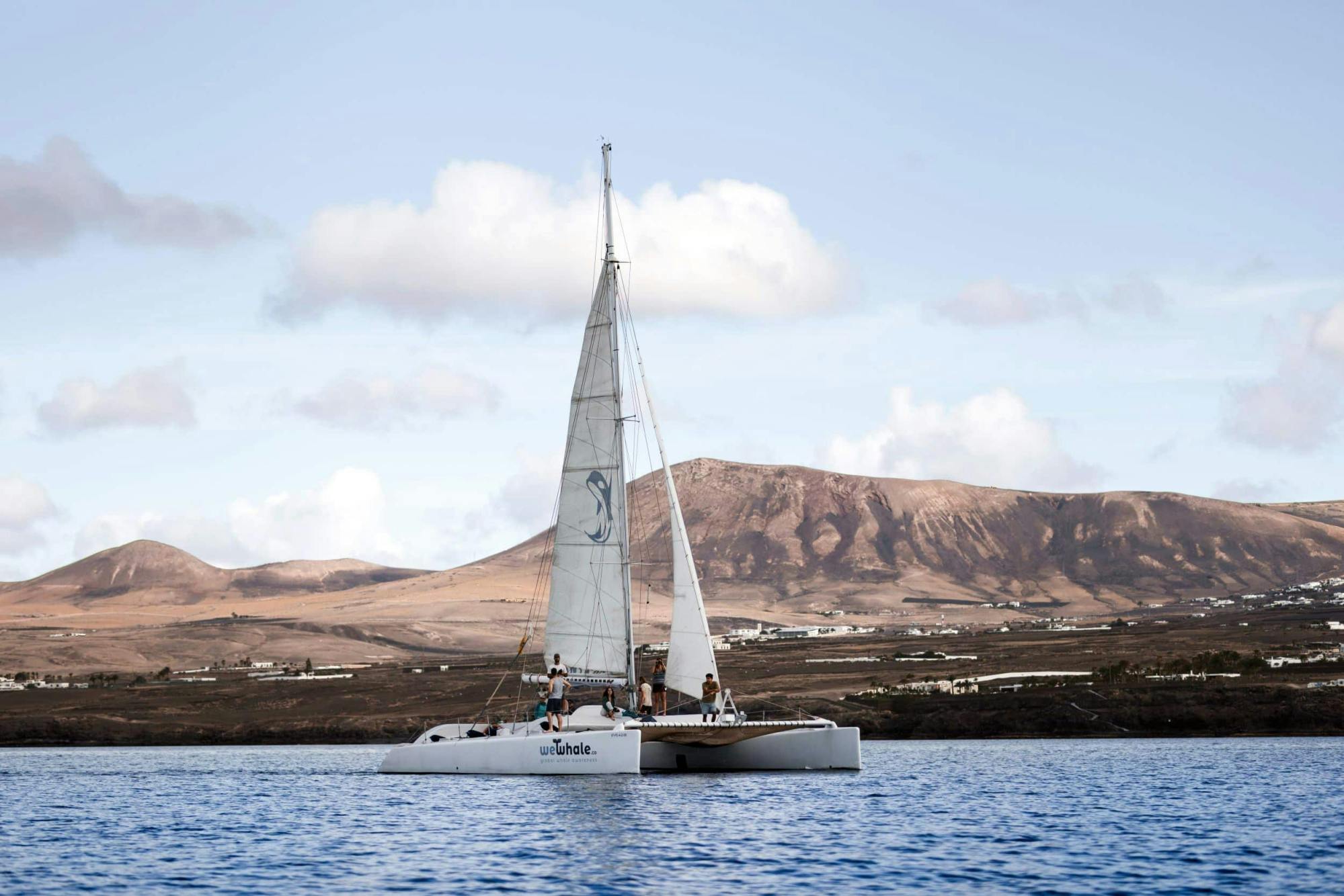 Private Dolphin and Whale Watching Catamaran Cruise with Snorkelling