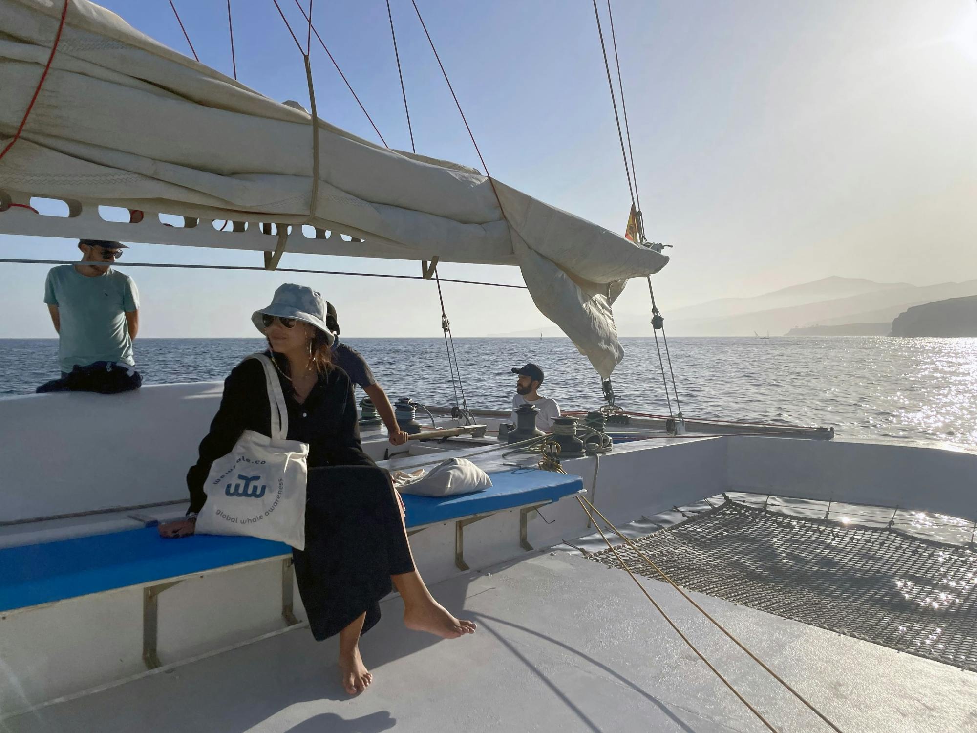 Lanzarote Dolphin and Whale Watching Four-hour Boat Trip