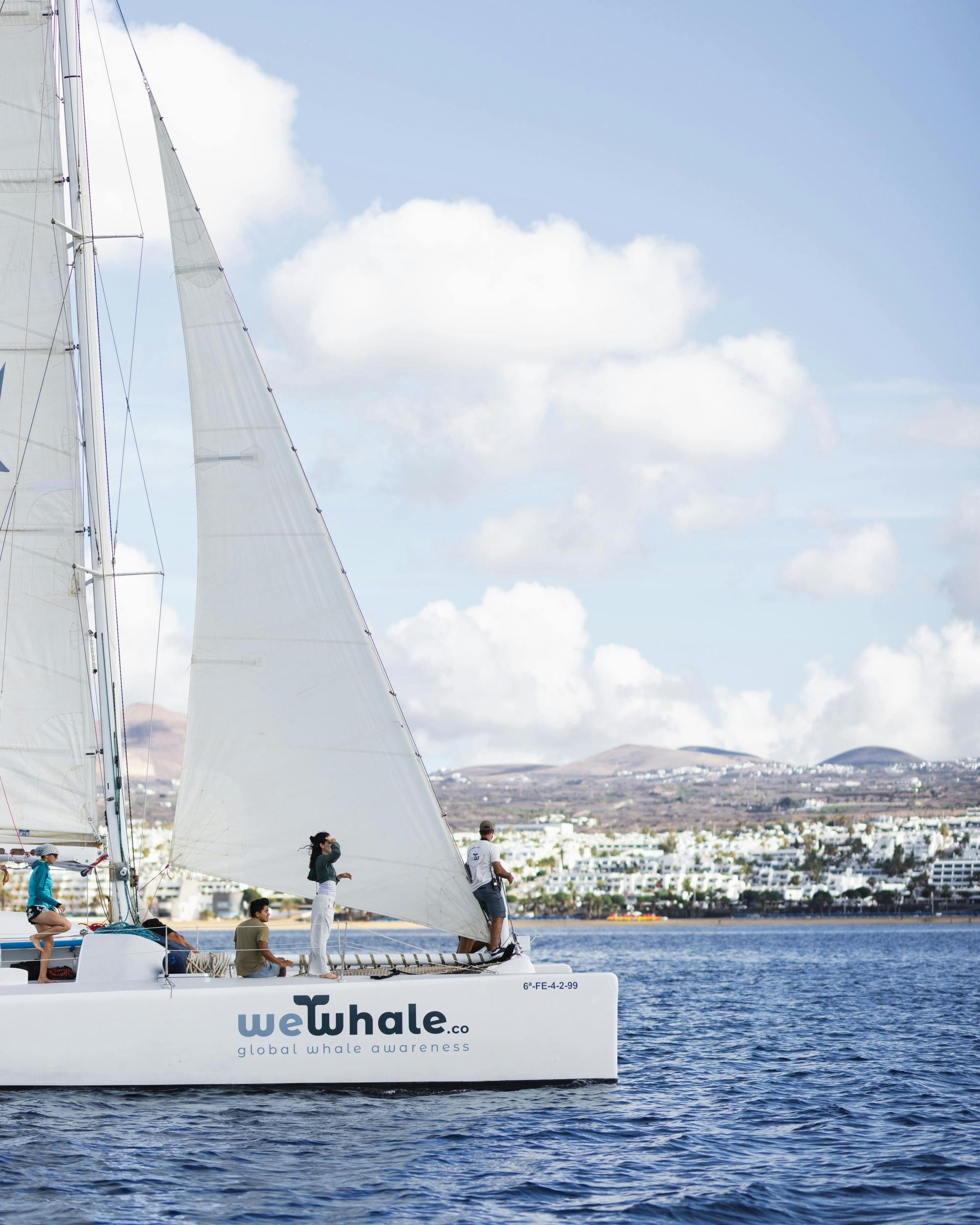 Lanzarote Dolphin and Whale Watching Four-hour Boat Trip