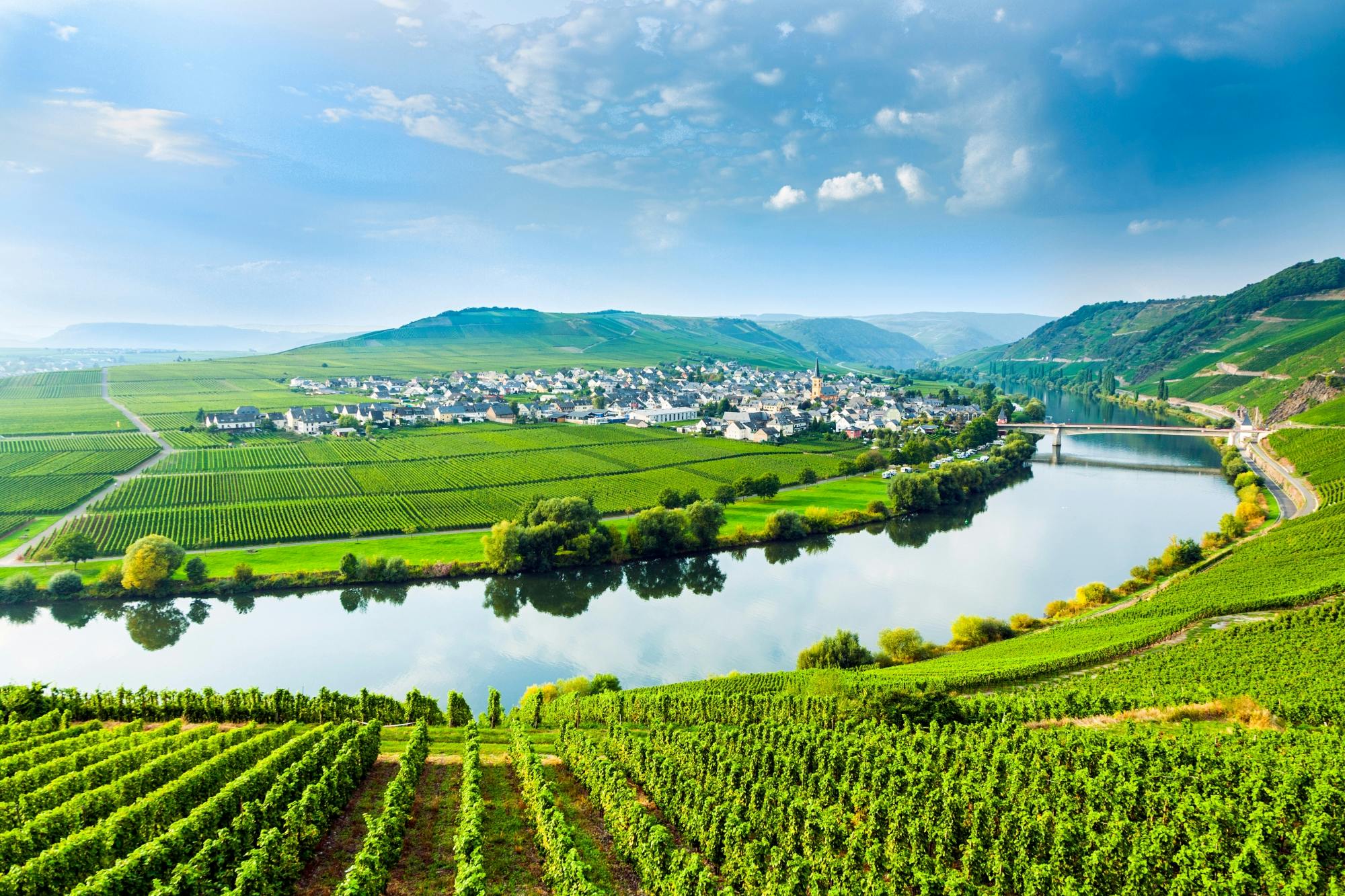 Excursion d'une journée en Moselle luxembourgeoise avec dégustation de vins et excursion en bateau