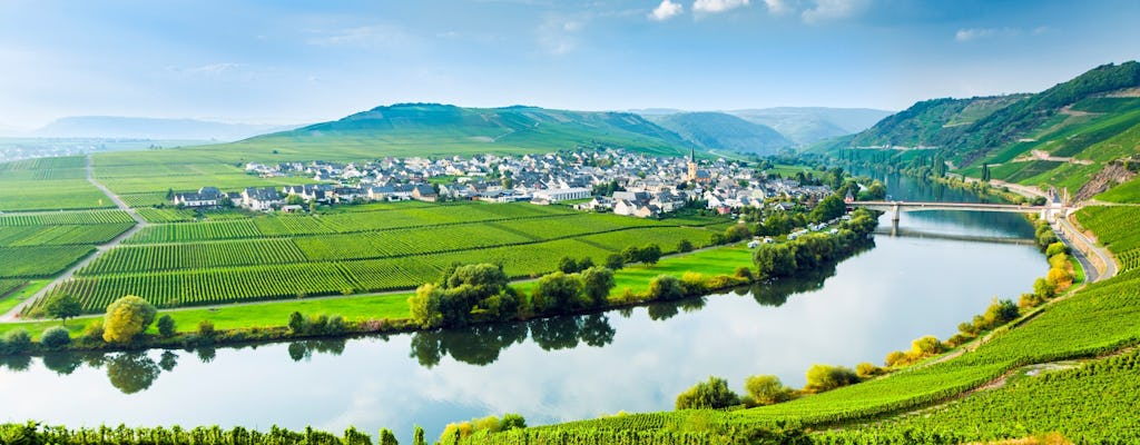 Tagesausflug zur Luxemburger Mosel mit Weinprobe und Bootstour