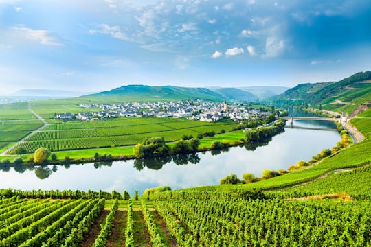 Luxembourg Moselle day trip with wine tasting and boat tour