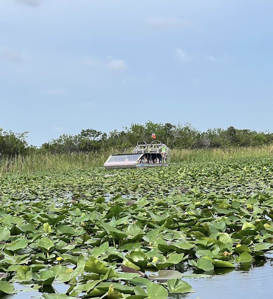 Visite des Everglades au départ de Miami