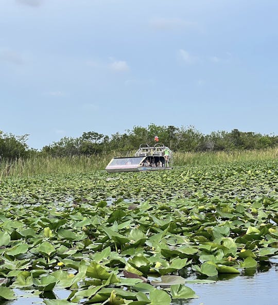 Everglades tour from Miami