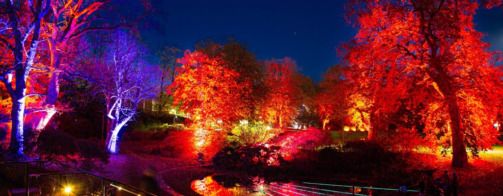 Podziwiaj jesienne światła w parku Sofiero