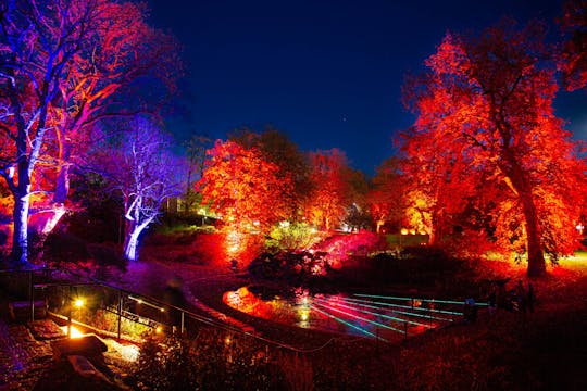 Admire the autumn lights at Sofiero Park