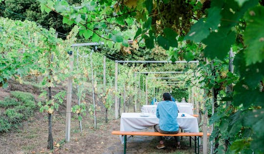 Setembro da experiência de degustação de vinhos Moscato di Scanzo