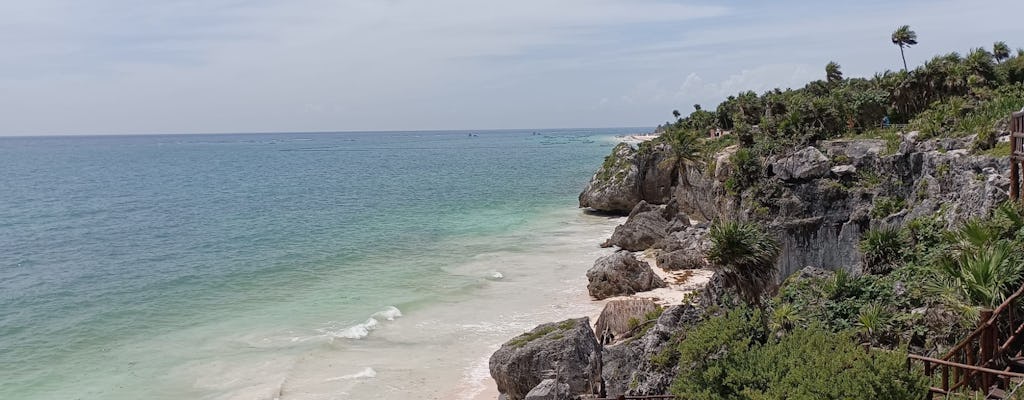 Full-Day Luxury Tour to Tulum, Cenote, and 5th Avenue Playa del Carmen