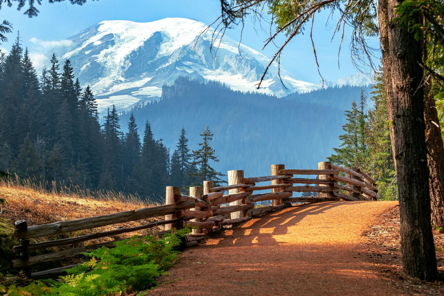 Wycieczka audio z przewodnikiem po Mount Rainier Majestic Trails