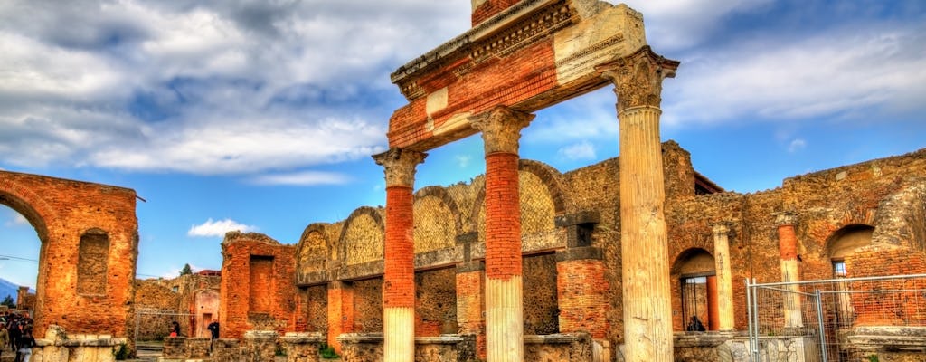 Pompeii, Herculaneum and Vesuvius audioguided tour from Pompeii