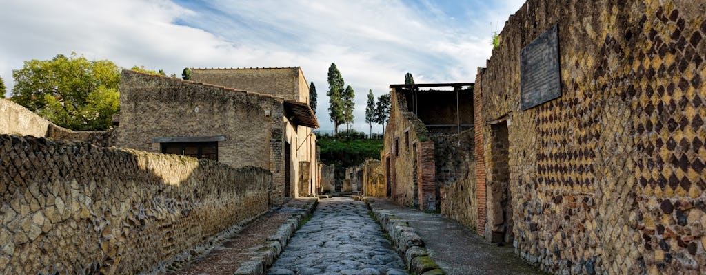 Traslado al Vesubio y Herculano y entradas desde Pompeya.