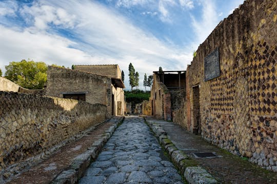 Transfer zum Vesuv und Herculaneum sowie Eintrittskarten ab Pompeji