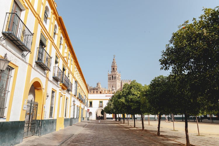 VIP Alcázar Erişimi Ve Katedral Ile Sevilla'nın En İyi Yürüyüş Turu Bileti - 11