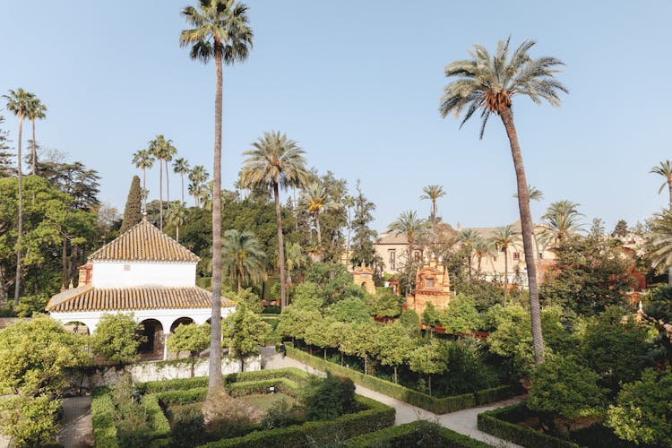 VIP Alcázar Erişimi Ve Katedral Ile Sevilla'nın En İyi Yürüyüş Turu Bileti - 6