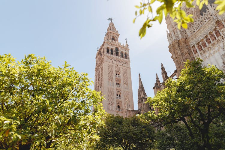 VIP Alcázar Erişimi Ve Katedral Ile Sevilla'nın En İyi Yürüyüş Turu Bileti - 7