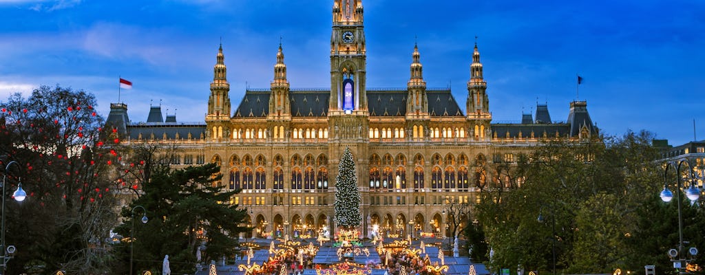 Tour del mercatino di Natale di Vienna con un locale