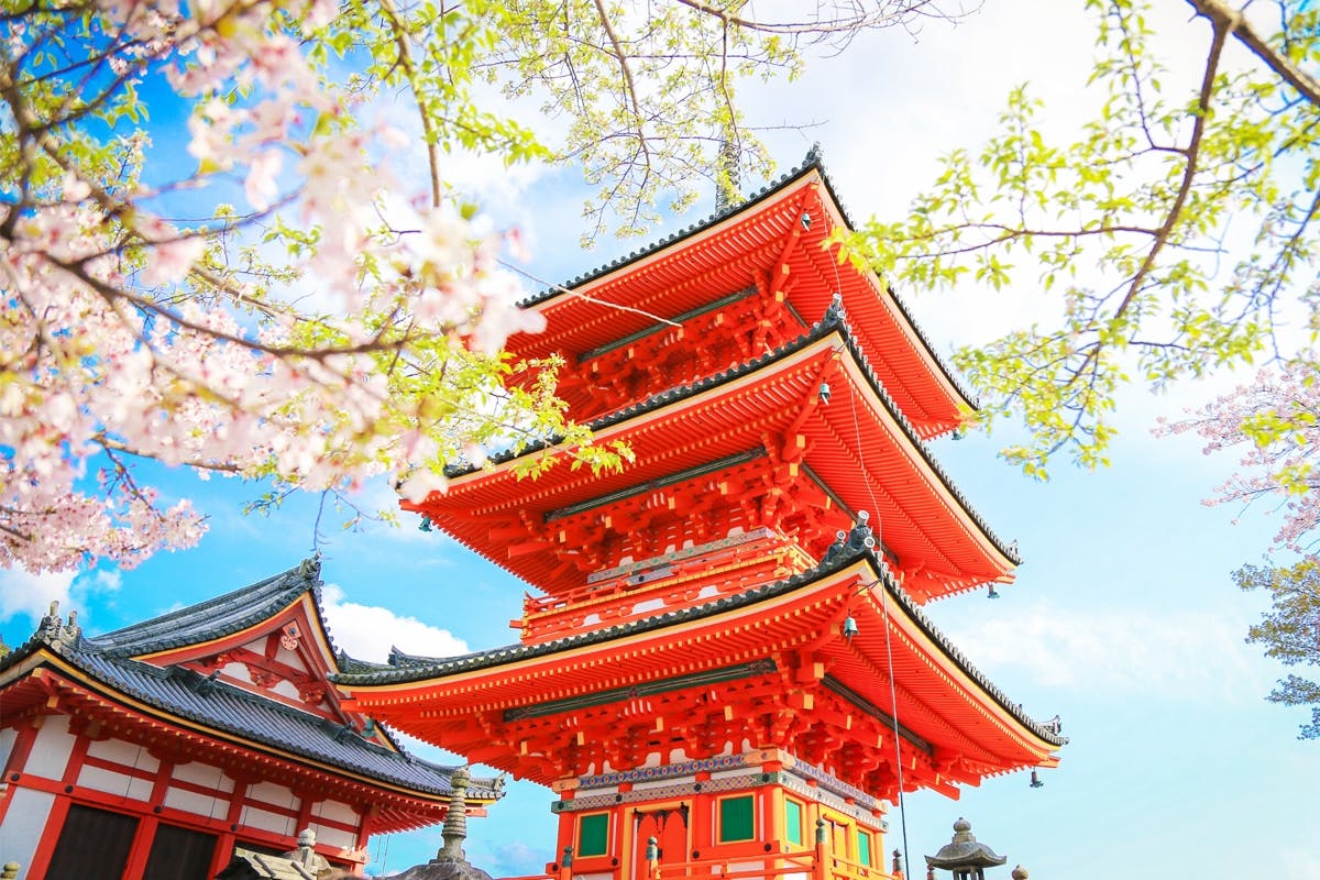 Tour de 1 día a Kioto y al parque Nara desde Osaka