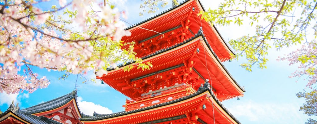 Excursão de 1 dia a Kyoto e ao Parque Nara saindo de Osaka