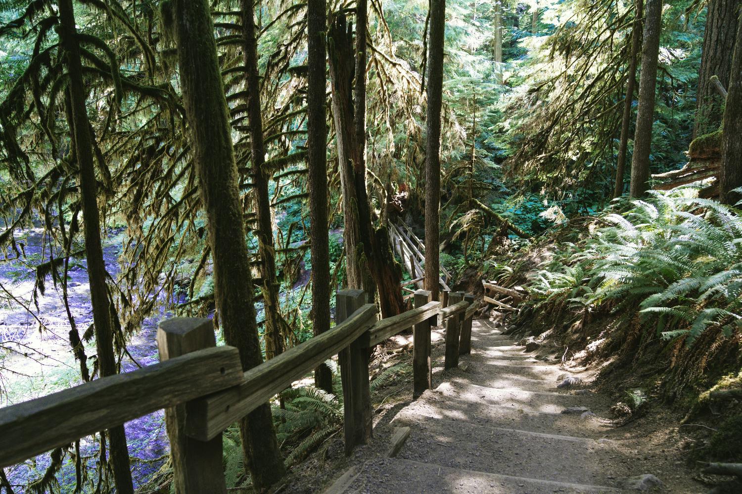 Excursão autoguiada em áudio por Seattle e Parque Nacional Olímpico