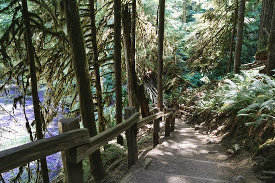 Seattle And Olympic National Park Self-Guided Audio Tour