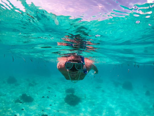 Begeleide excursie naar Pamilacan Island vanuit Bohol