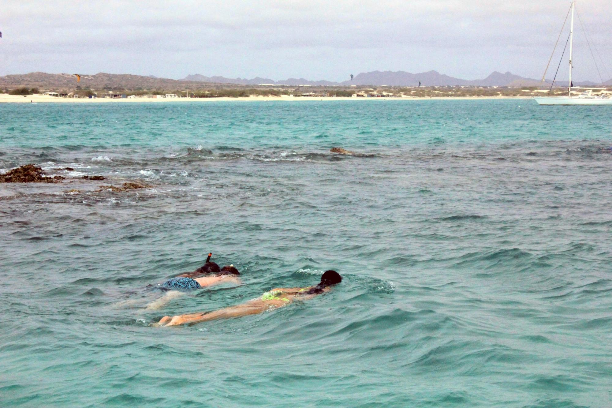 Boa Vista Snorkelling Experience