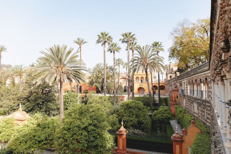 Seville Royal Alcázar'a VIP Erken Erişimli Tur Bileti - 2