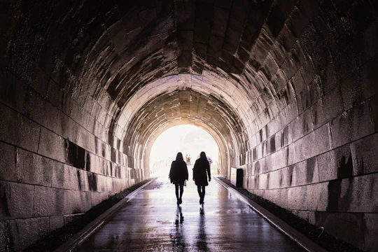 Niagara Water Power: Skylon Tower & Tailrace Tunnel Tour