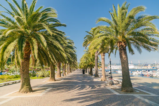 La Spezia sightseeing tour with Italian music