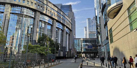 Brussels sightseeing private walking tour