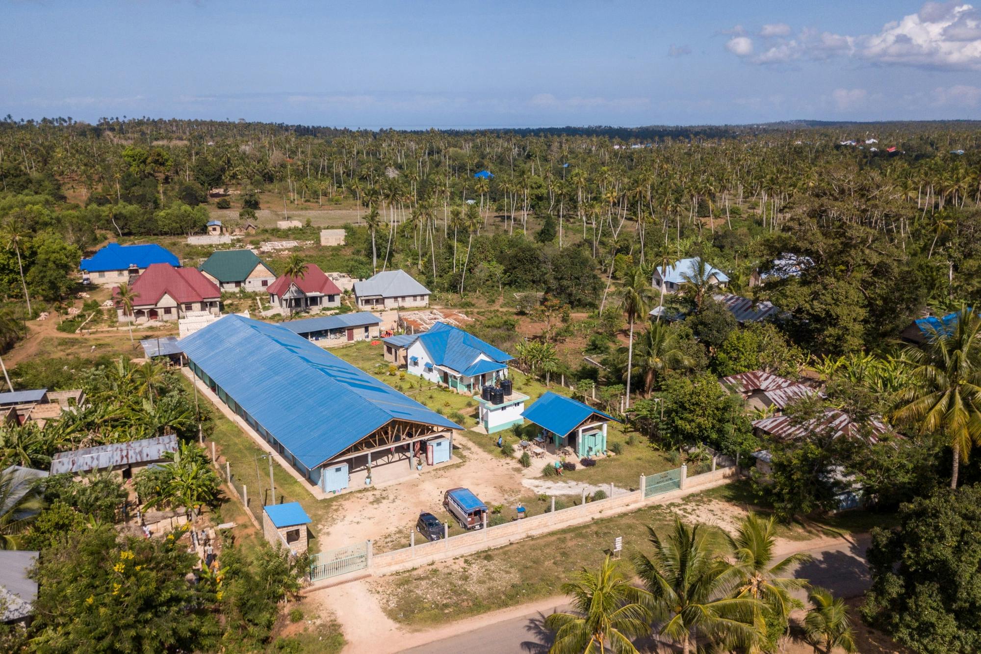 Jozani Chwaka Bay National Park and Spice Plantation Tour