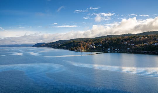 Oslofjord "Brunch and bubbles" cruise with brunch