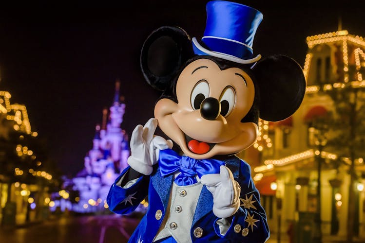 Billet Billet D'une Journée Pour Disneyland® Paris - 2