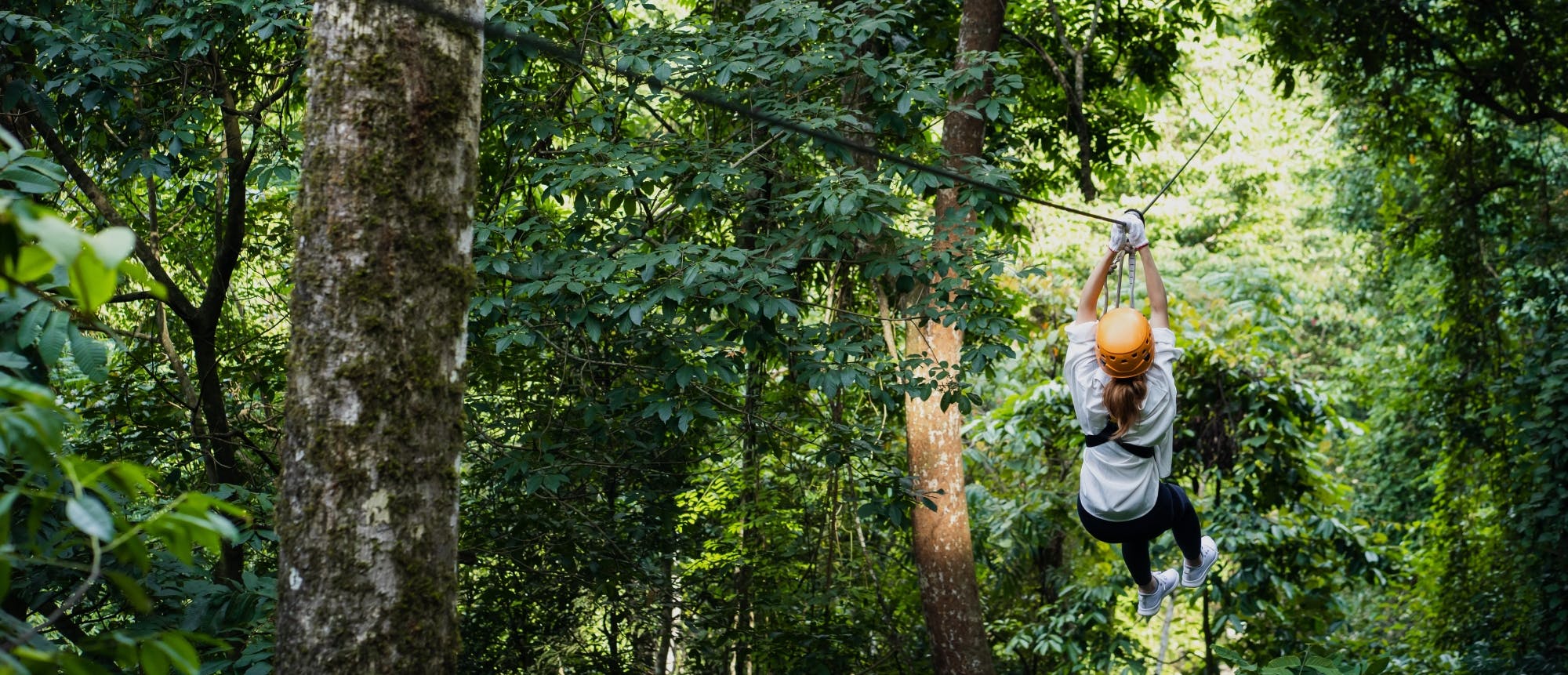 Extreme zipline experience in Ao Nang adventure park Musement