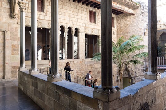 Picasso Museum Barcelona entry ticket and in-app audio tour
