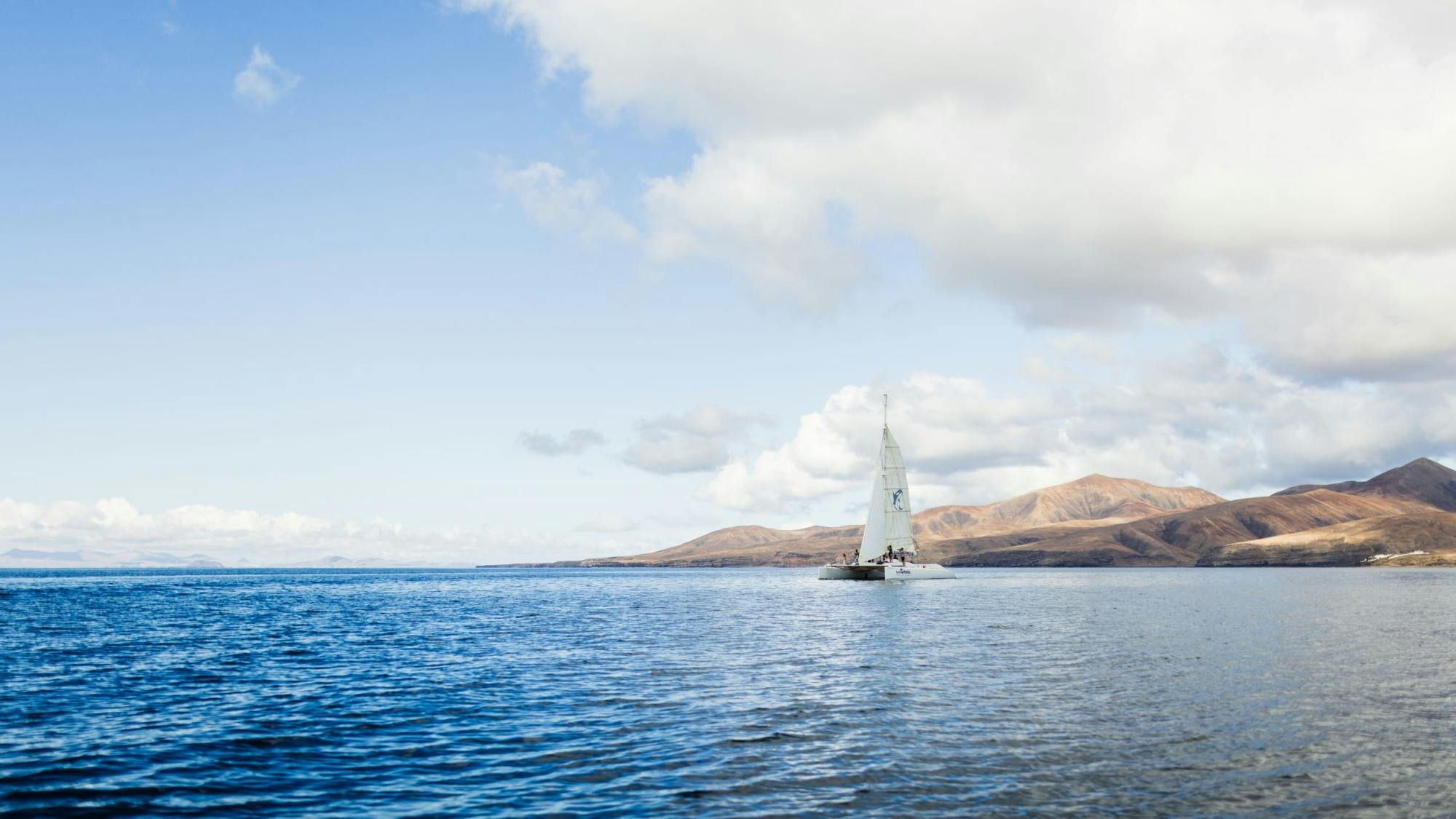 Private sunset cruise with dolphin watching in Lanzarote Musement