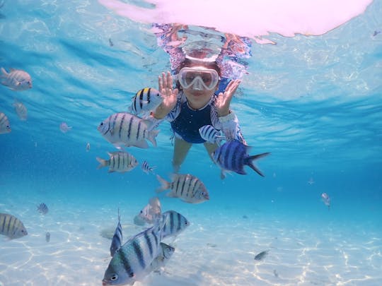 Visita guiada de snorkel en Bali Blue Lagoon con transporte y almuerzo.