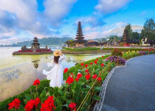 Tour di un giorno guidato privato su misura di Bali