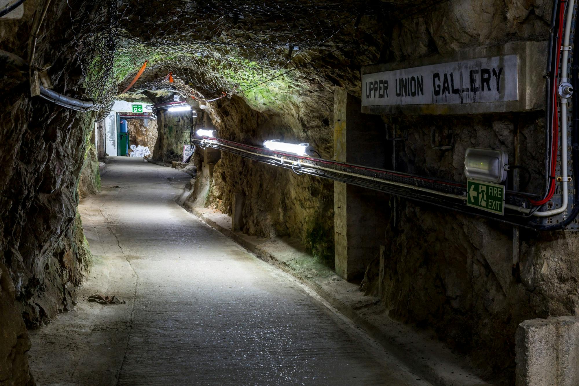 Gibraltar Day Trip with Dolphin Watching Boat Tour and Rock Visit