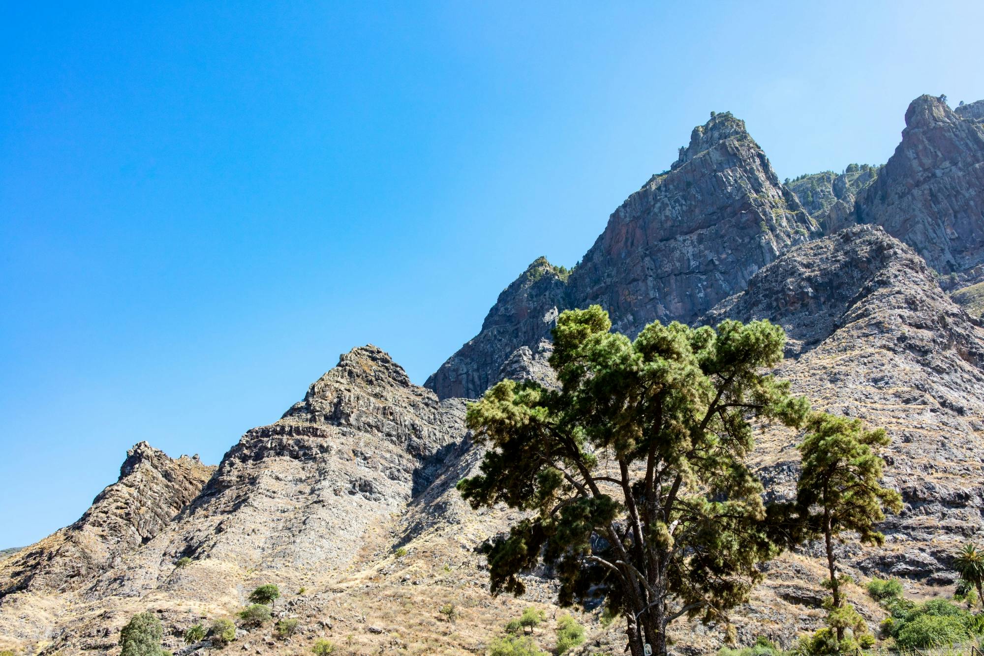 Gran Canaria Small Group Food Tour with Distillery Visit