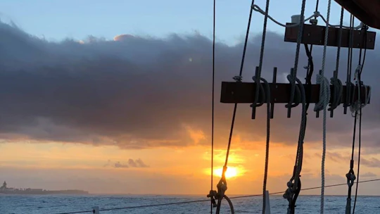 90-minute Cruise and Dinner in Cape Town