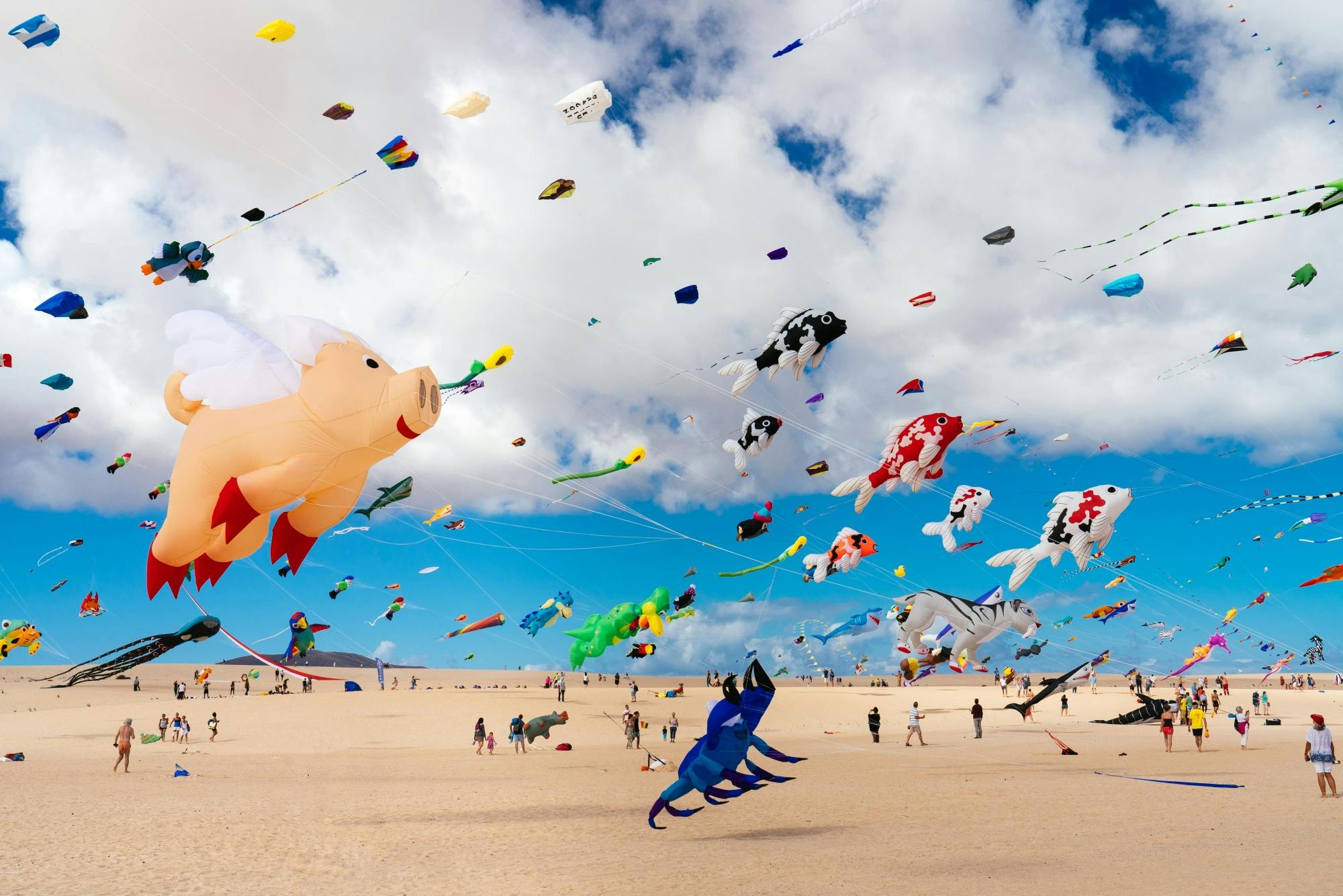 Transfer to International Kite Festival in Corralejo - 12.11.2023