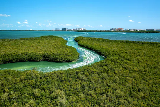 Puerto Maya jungeltur