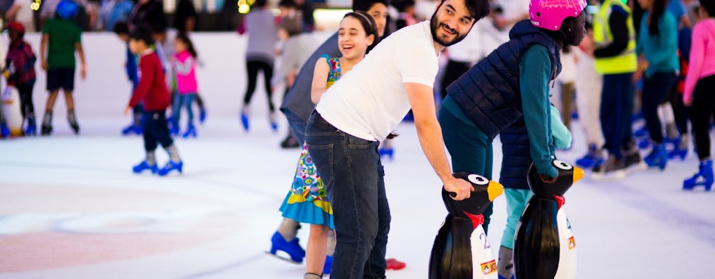Billets d'entrée générale pour la patinoire de Dubaï