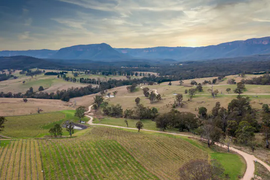 Weinguttour im Megalong Valley mit Verkostung und Mittagessen